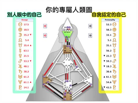 人類圖4/6工作|4/6型的人生角色